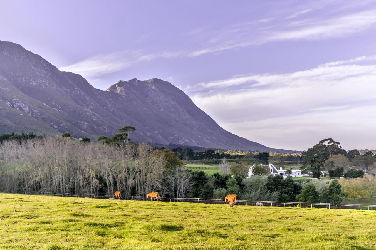 Hemel 'N Aarde Stud Hotel Hermanus Exterior photo