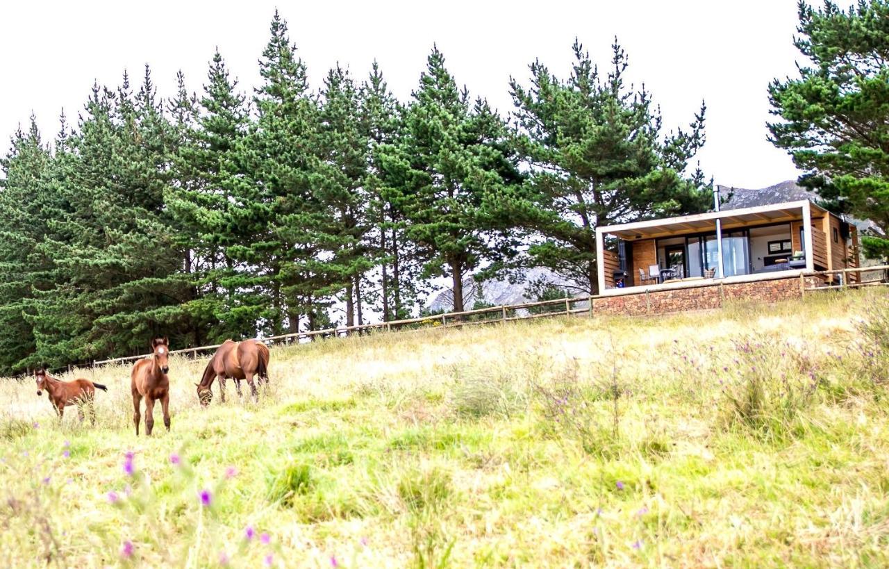 Hemel 'N Aarde Stud Hotel Hermanus Exterior photo